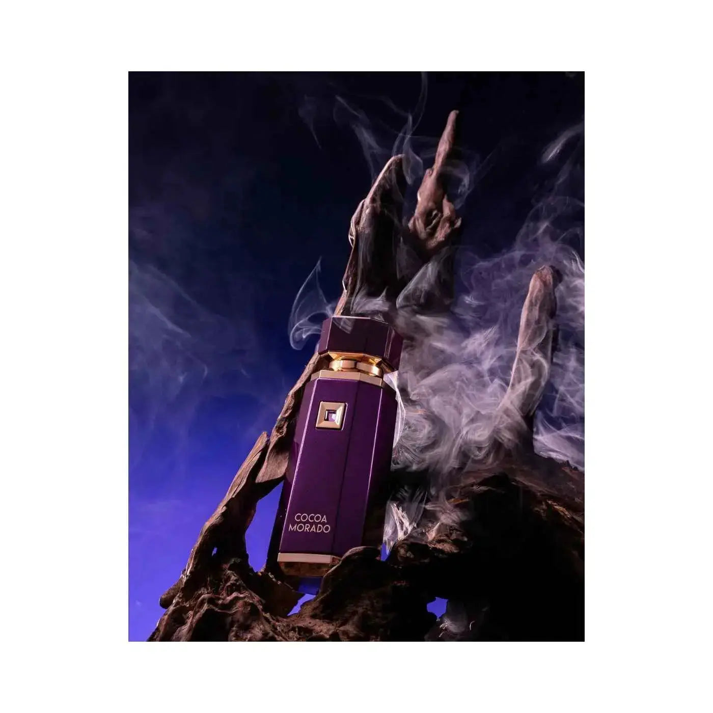 French Avenue Cocoa Morado 100ML Eau De Parfum