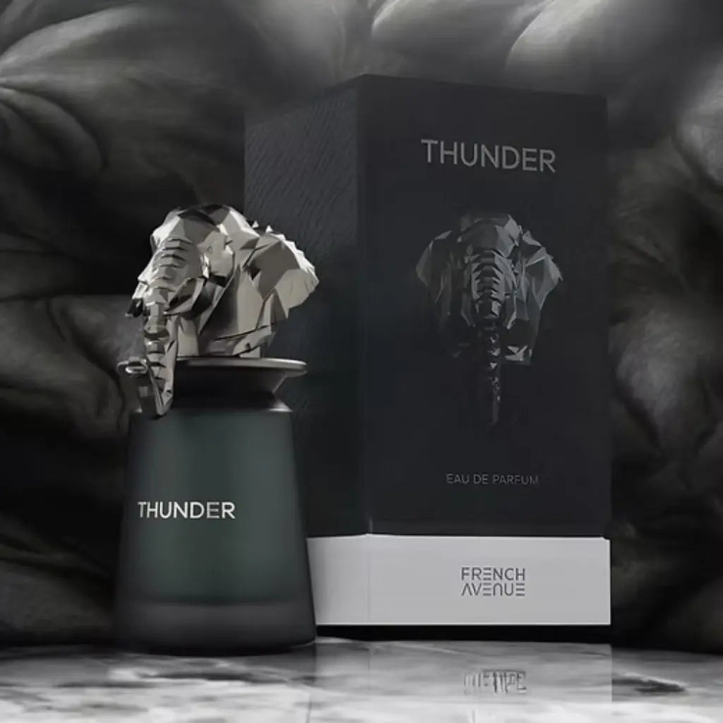 French Avenue Thunder 100ML Eau De Parfum - Dupescents.se