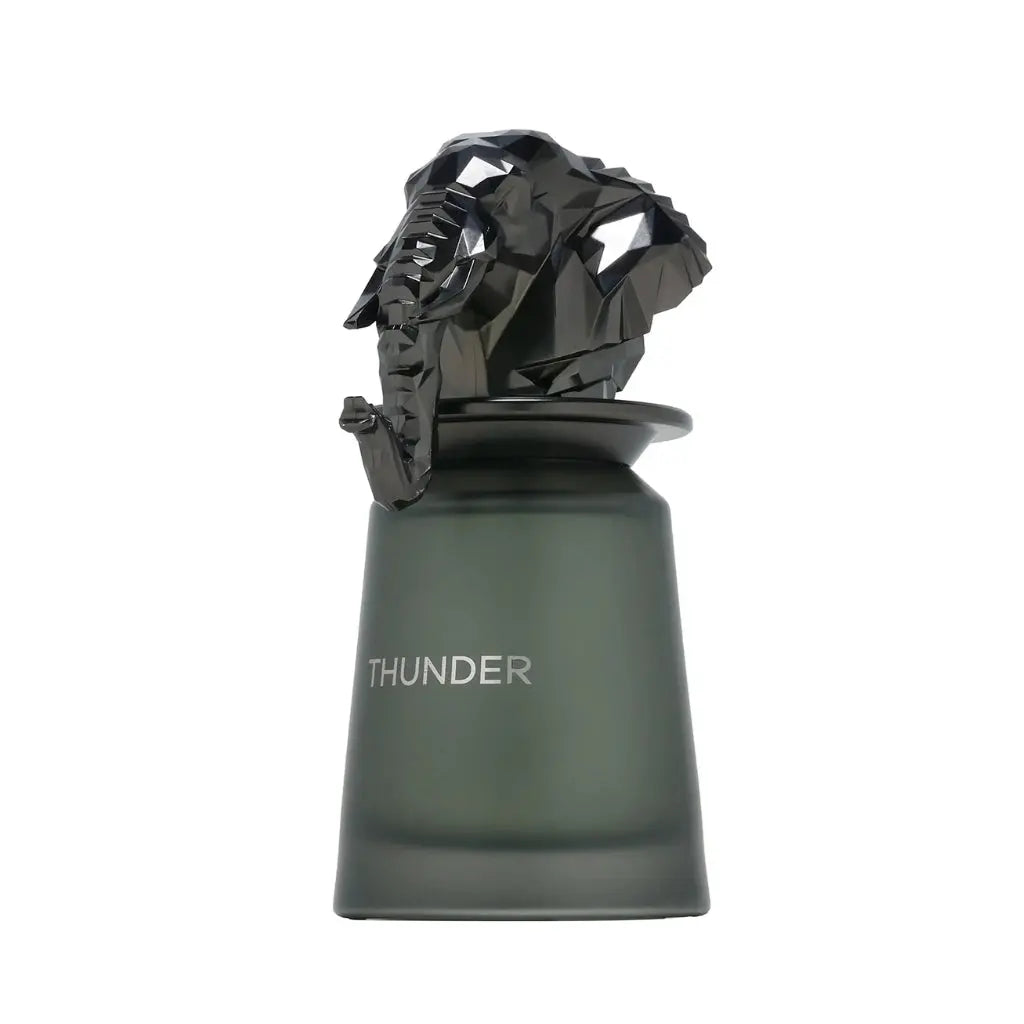 French Avenue Thunder 100ML Eau De Parfum - Dupescents.se