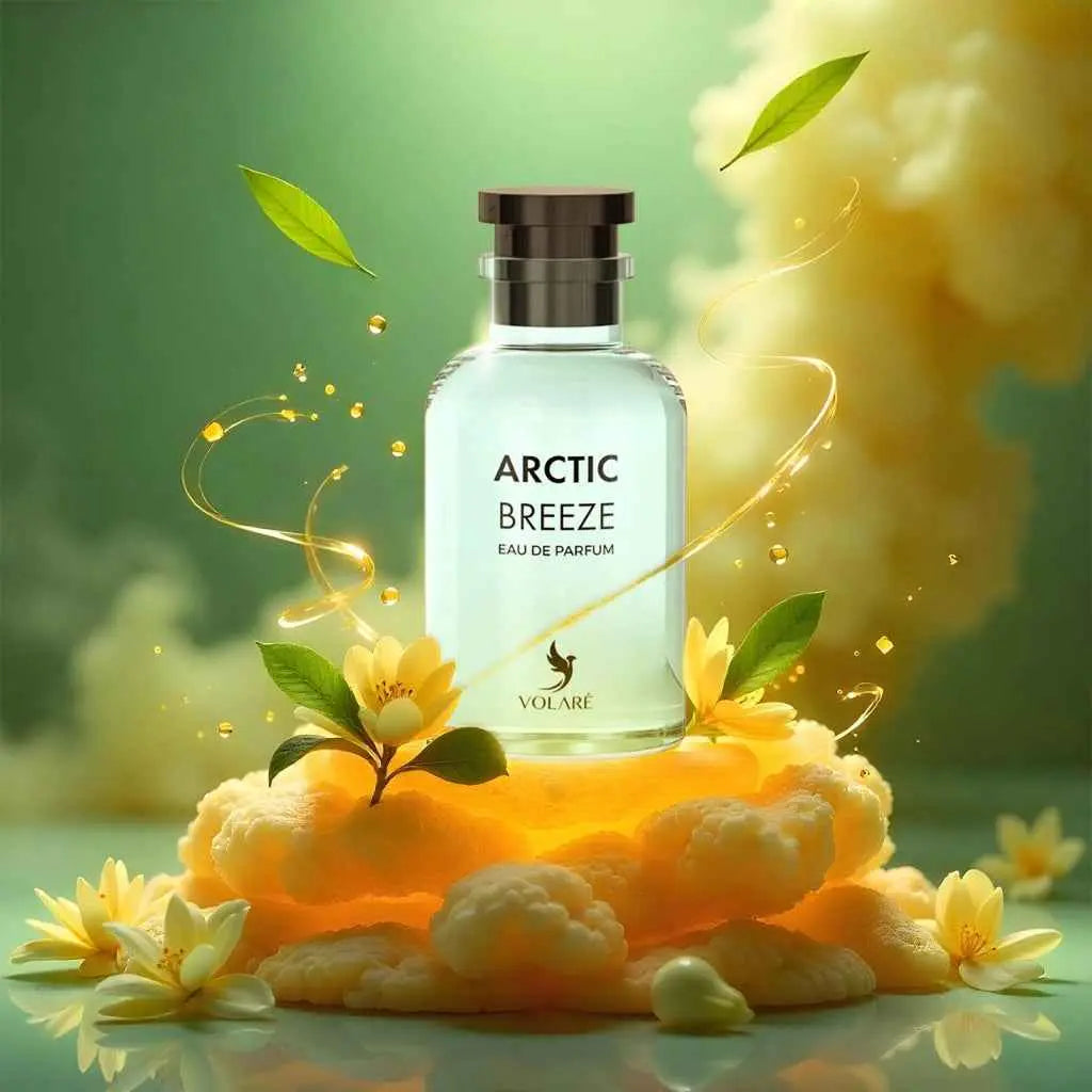 Volare Arctic Breeze 100ML Eau De Parfum