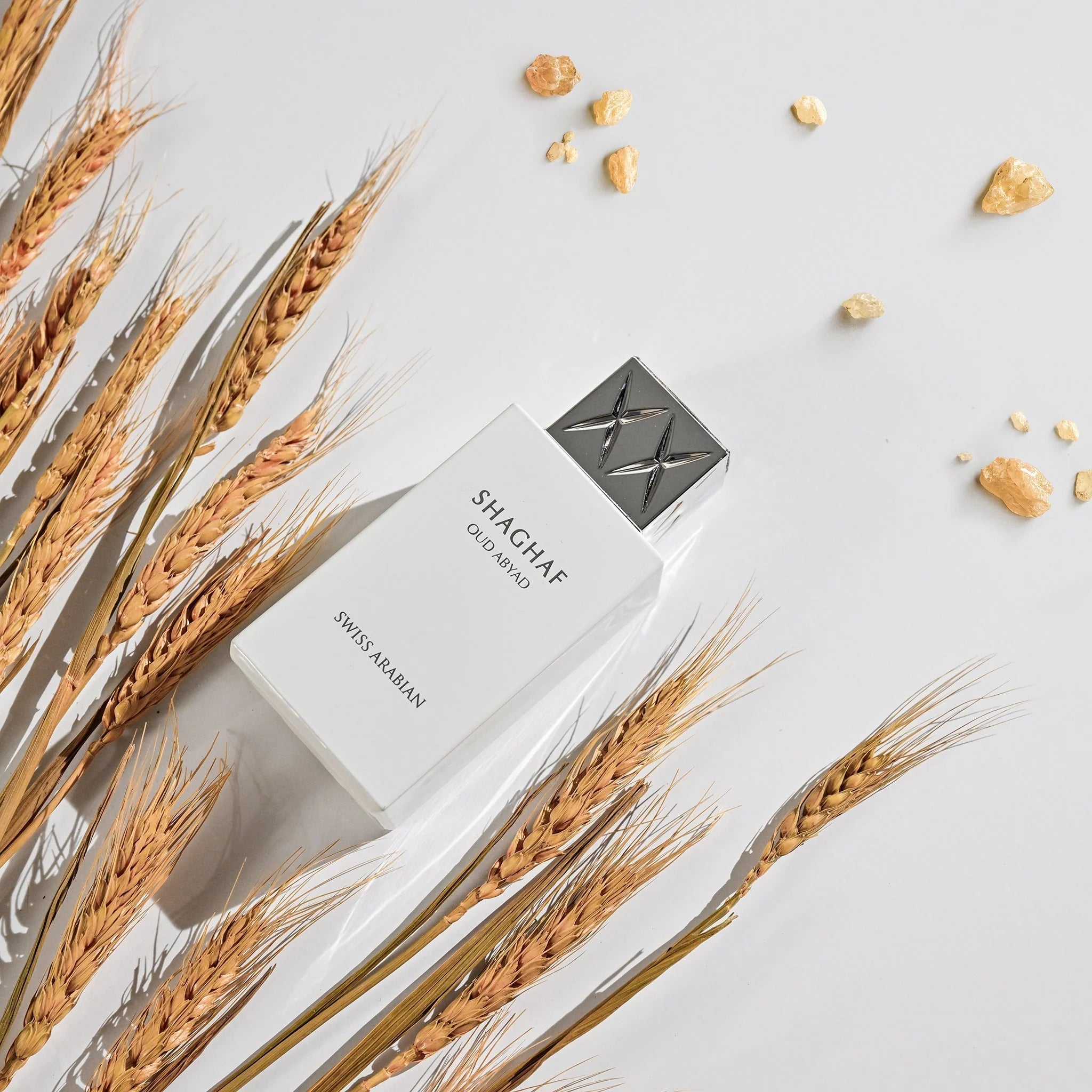 Shaghaf Oud Abyad herrparfym med en elegant design, omgiven av torkade stjälkar och naturliga element